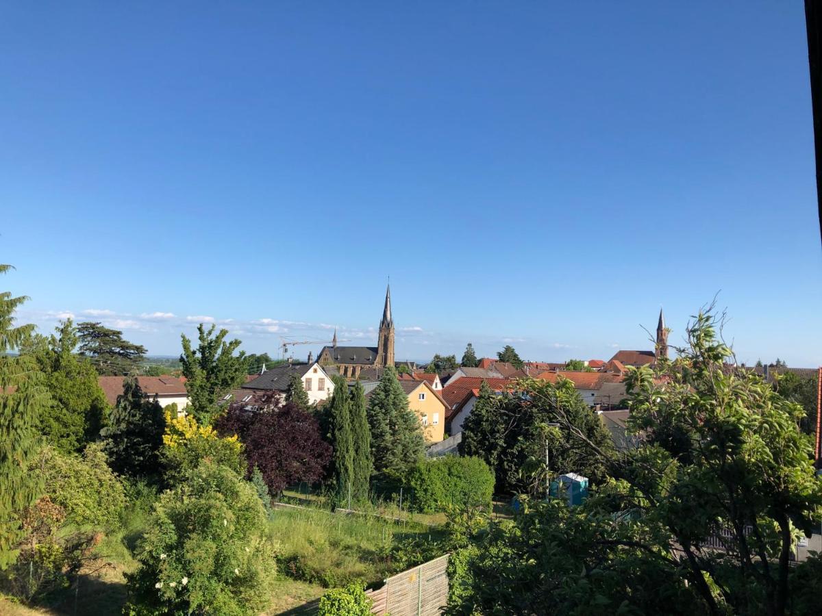 Apartament Nickel Haus Edenkoben Zewnętrze zdjęcie